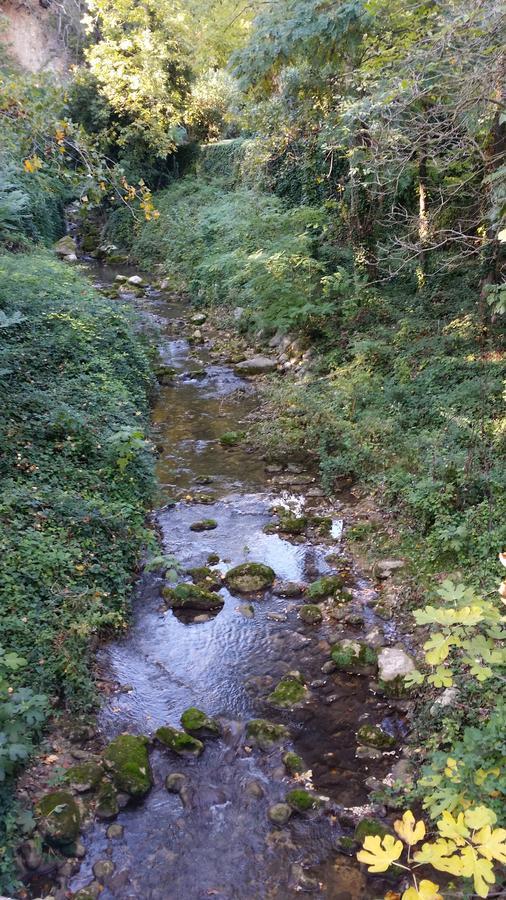 Moulin Des Eaux Vives Hotel Grasse Kültér fotó